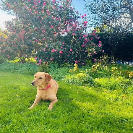 3 Bed In The 88586 Dom wakacyjny