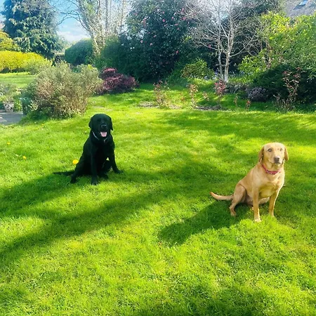 3 Bed In The 88586 Dom wakacyjny Duddon