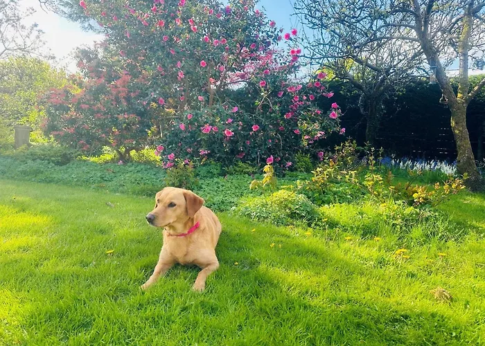 3 Bed In Millom Oc-88586 Ferienhaus Duddon